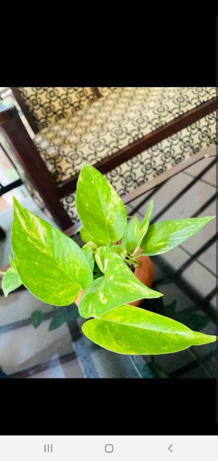 Orange Villa Hikkaduwa Luaran gambar